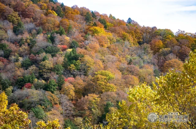 リザルトを公開します – SHIRANE ASCENT | KATASHINA MOUNTAINS SERIES